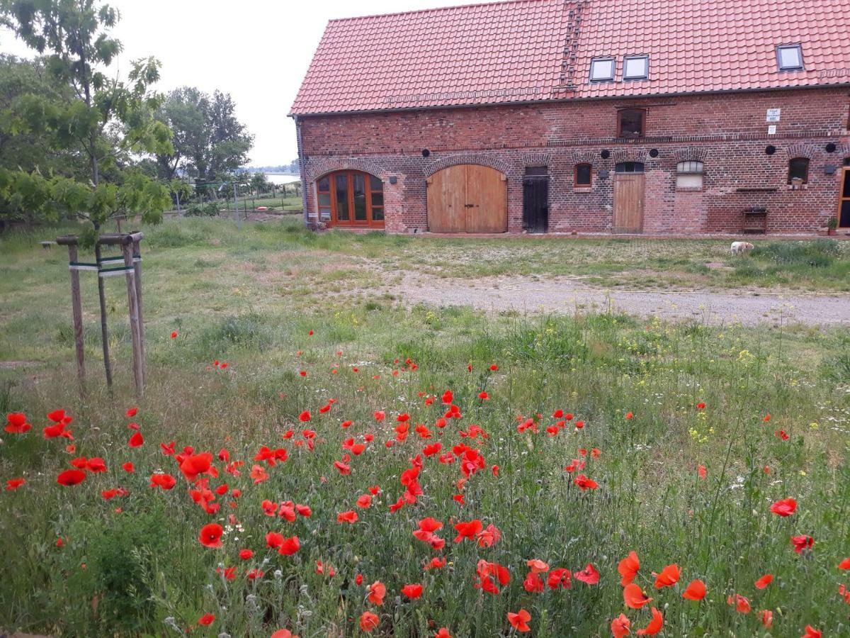 An Den Elbwiesen Gz Fewo Elbeblick Nur Nichtraucher Dommitzsch Zewnętrze zdjęcie